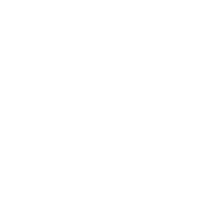 local seo